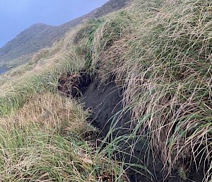 Large crack in the earth on the way to Gadgets Gully