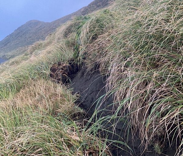 Large crack in the earth on the way to Gadgets Gully