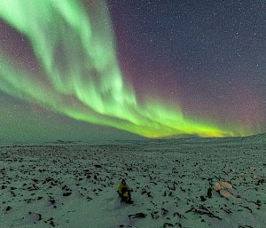 Natural bright green and red lights in a wave across the sky