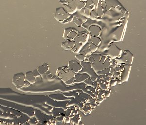 A magnified photo of ice crystals formed on a window, showing hexagonal formations with smoothness and reflectivity like metal or glass