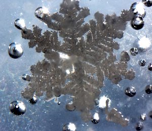 A magnified photo of a snowflake underwater, surrounded by air bubbles looking like large, silvery baubles