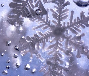A magnified photo of a snowflake underwater, surrounded by air bubbles looking like large, silvery baubles