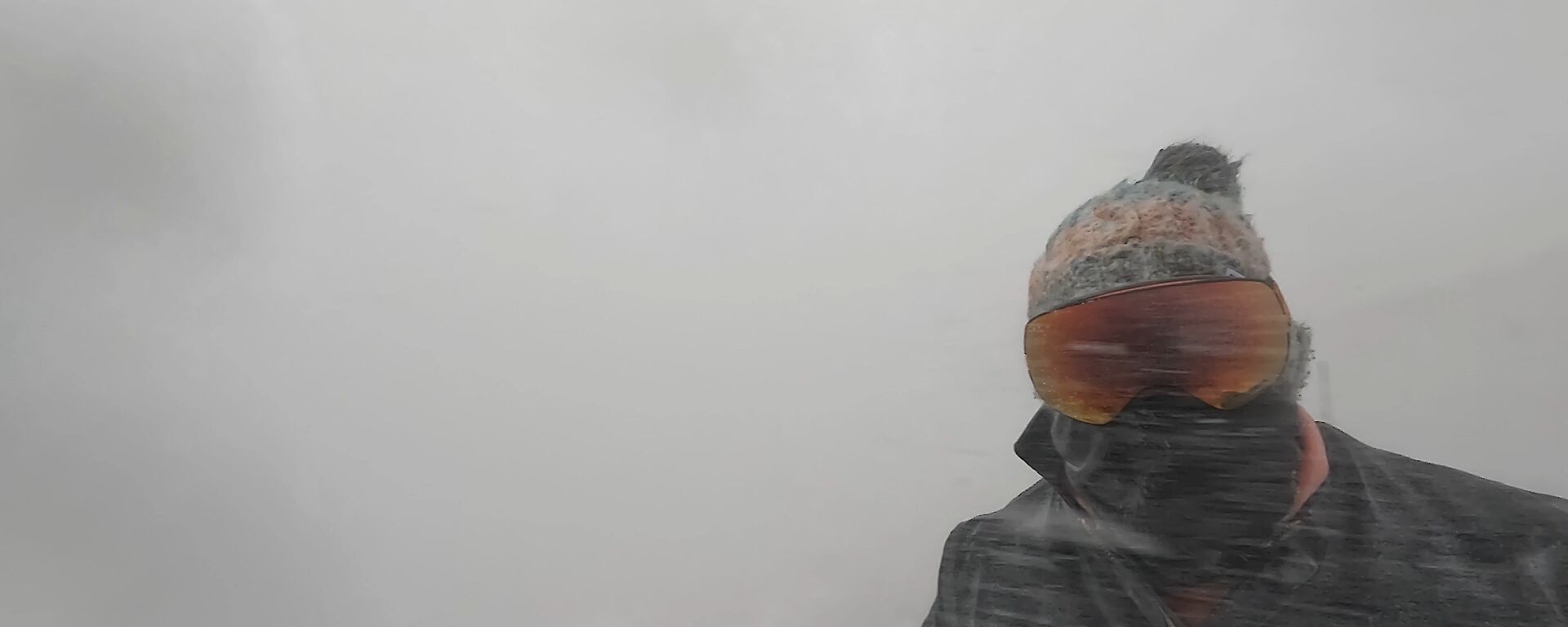 Torso and head of person, completely covered with neck warmer, goggles and beanie, with snow whipping around them and nothing to view in the background