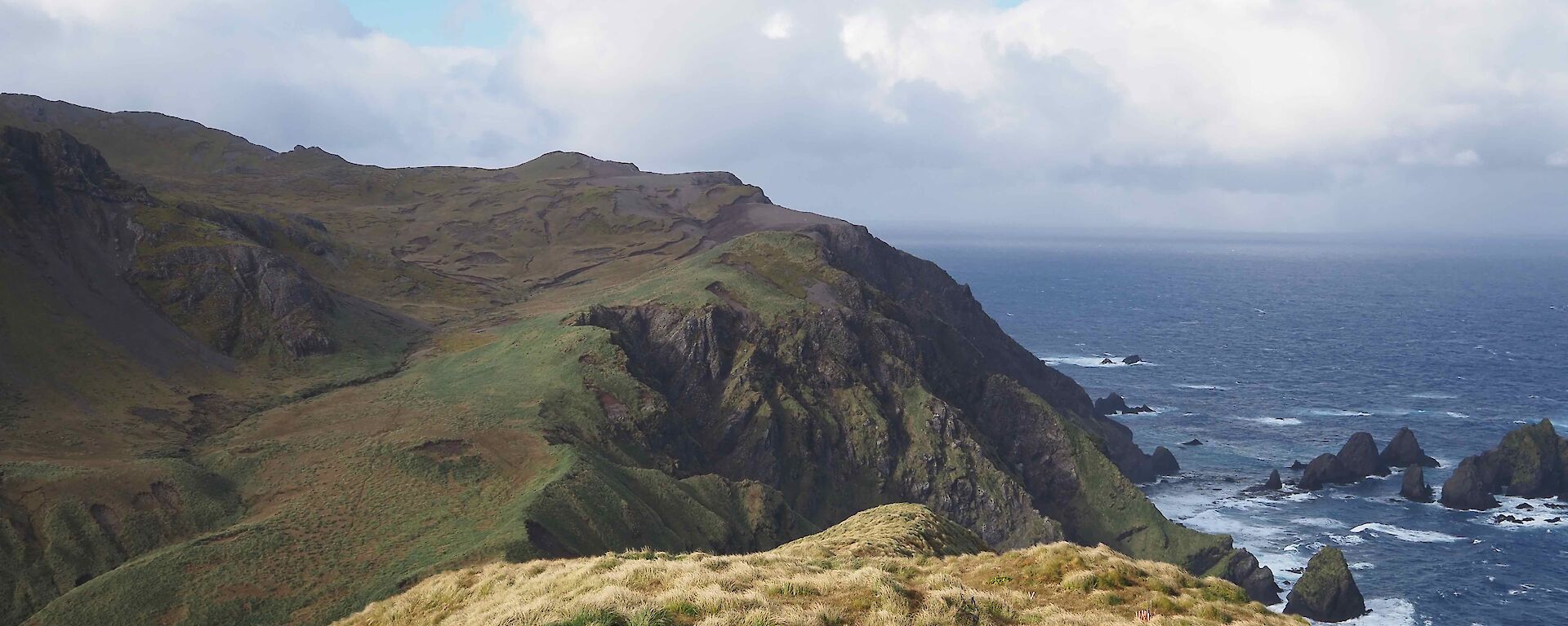 Grassy hills drop steeply to a rocky shore and blue ocean