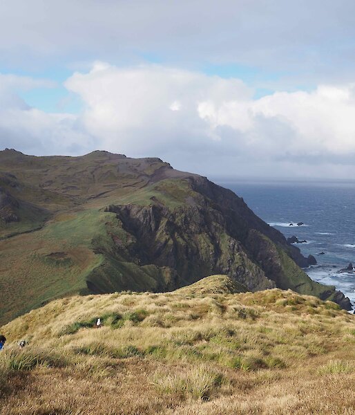 Grassy hills drop steeply to a rocky shore and blue ocean