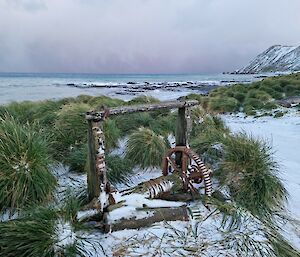 An old winch from the sealing days sits on a grassy tussock covered in snow