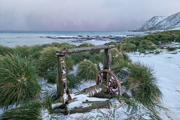 An old winch from the sealing days sits on a grassy tussock covered in snow