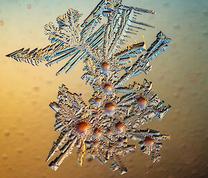 A magnified photo of an ice crystal formation on a window pane. It looks like a cluster of small baubles in an irregular spray of spiky, fern-like foliage