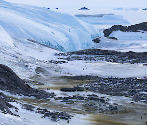 Valley with glacier running down the left side, in valley can see two emperor penguin huddles and number of penguins moving about