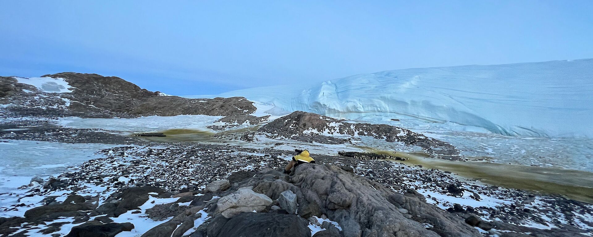 Person sitting with their back to the camera, looking out across valley with emperor penguin rookery and glacier in distance
