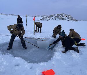 A team of people in thick Carhartt jackets working on a stretch of sea ice. An area a few metres squared has been cleared of snow, and some of the cleared ice has been cut through. A large chunk of ice, 1-2 metres wide and 40-50 centimetres deep, is being lifted with pegs and ropes. Unfrozen water can be seen just below it