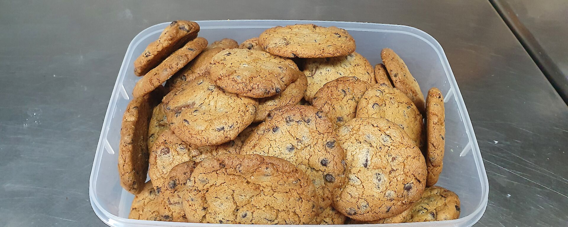 Cooked cookies in plastic container