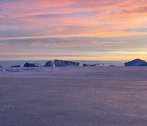 Blue icebergs frozen into the sea ice