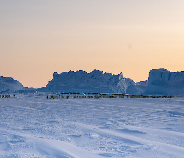 A group of penguins sit in front of a large iceberg