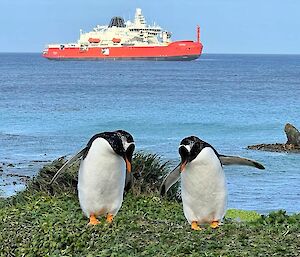 A large red ship with two penguins on shore in front of it