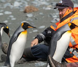 Man sitting on beach and holding camera, surrounded by king penguins