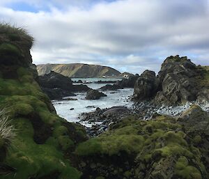 A view from the shore with tussocks in the foreground under a cloudy sky