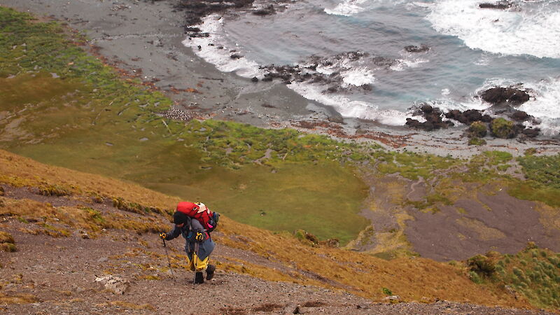 A person climbs a steep cliff with the ocean and rocky beaches behind them