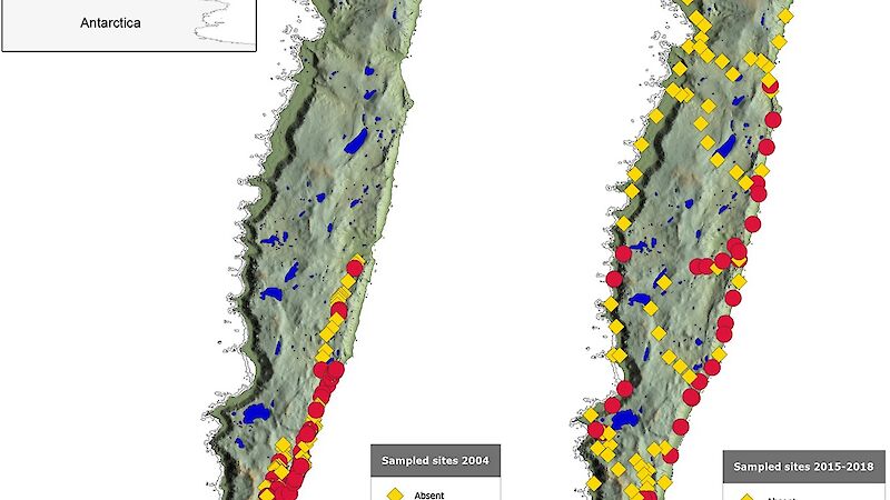 Survey sites for the flatworm across Macquarie Island. It shows how more worms have spread from the east coast, to the west coast