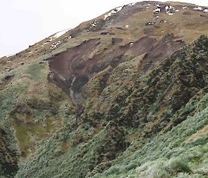 A green hilly landscape with patchy grasses in some areas and lush vegetation on others