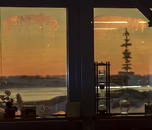 Two adjacent windows, through which can be seen the pale-peach colours of the sky at sunrise. Various objects are lined up on the window sills, including a fake orchid plant, hand sanitiser bottles and cold drip coffee brewing apparatus