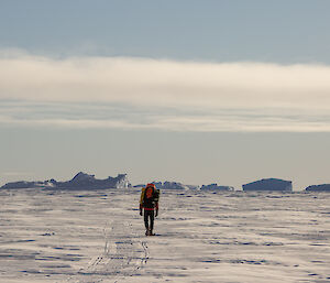 A shot from behind of a man walking across a wide stretch of thick, white sea ice, carrying a large pack on his back. He is walking towards a line of small icebergs caught within the sea ice