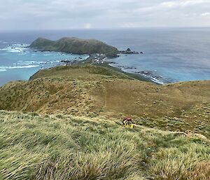 A man can just be seen climbing half way up a steep tussocky track from station