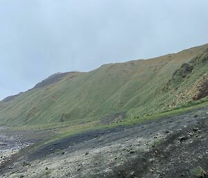 Looking across a pebbled beach with a few penguins just visible towards a steep hill