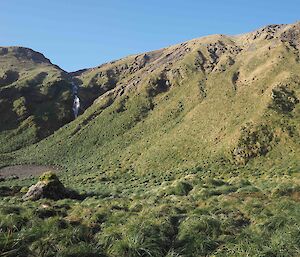 A steep sided green hill with tussock grass at the bottom.  A waterfall can be seen flowing from the top in the distance