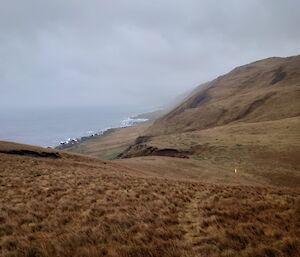 Looking down a tussock covered hill towards the sea