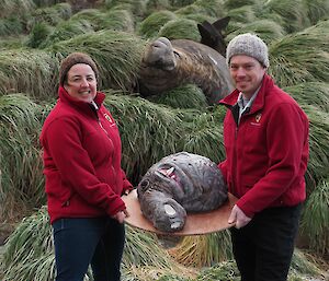 Two people in red jackets hold a large cake made in the shape of a seal in front of a large male elephant seal in the tussocks