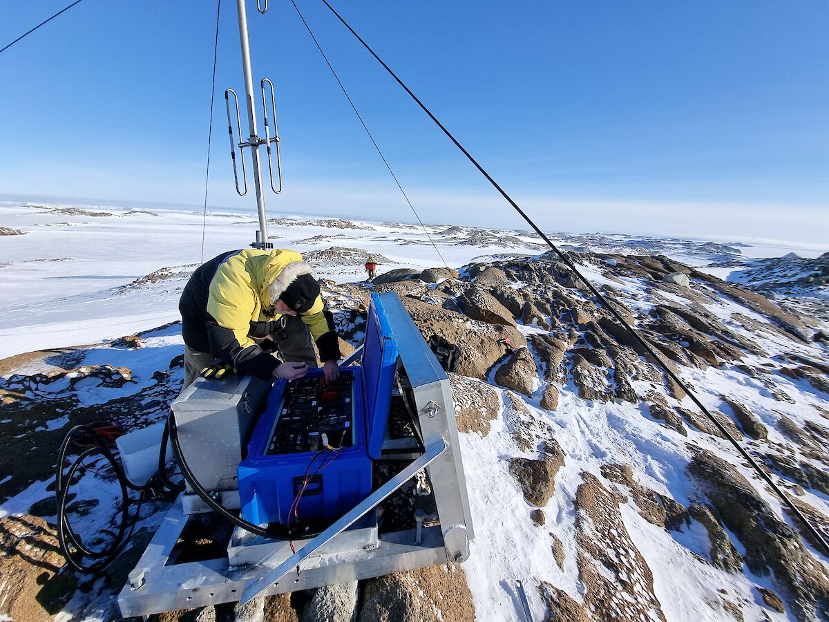 Sponges – Australian Antarctic Program