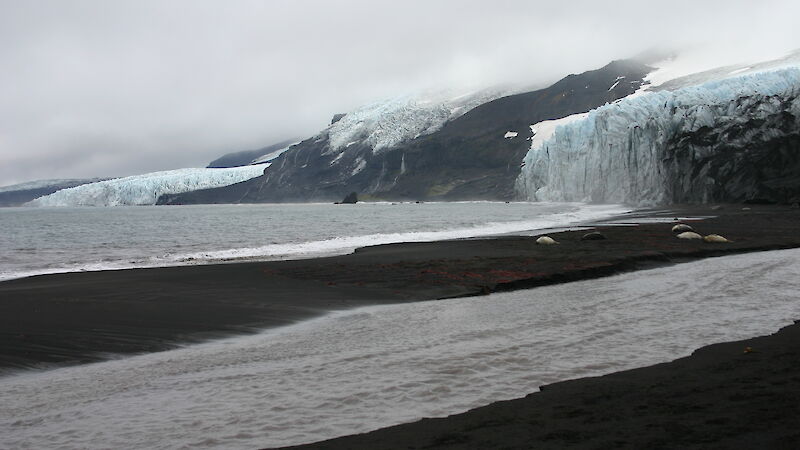 Glacier, beach, melt stream and resting elephant seals