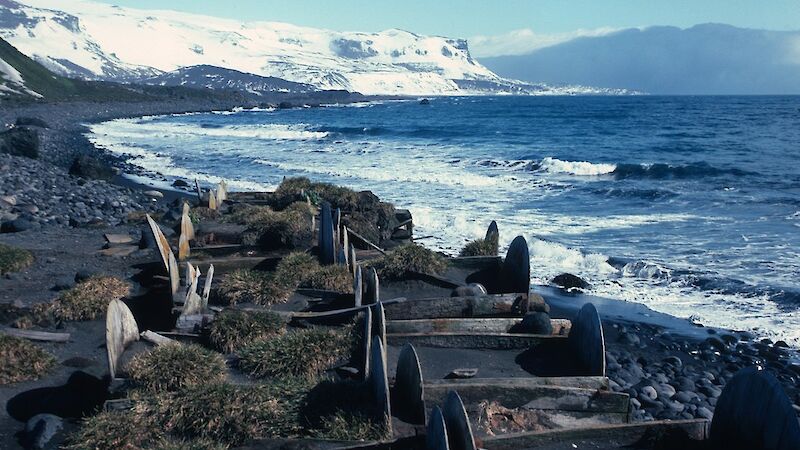 Seal oil casks on shore