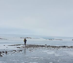 A person standing on ice looking at a glacier in the background