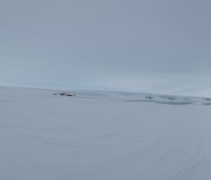 A person with a backpack looking out to a glacier from ground level