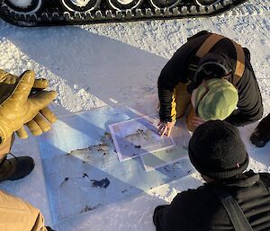 Group of expeditioners huddled around map which is laid out on ground beside tracks of Hägglunds