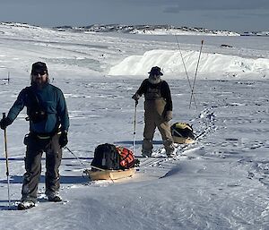 Two people walking across the sea ice, towing their gear in sleds harnessed to their waists, hiking poles in hand.