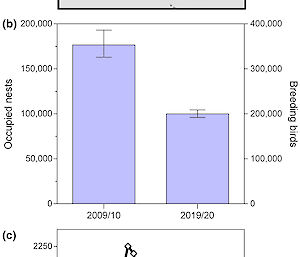 Three graphics showing a map of Antarctica, and graphs showing changes in the number of occupied nests and breeding birds over 10 years.