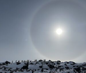 A group of penguins under a full sky with a halo sun