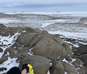 The back of a man's head looking out on rocks and ice