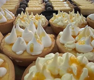 Rows and rows of desserts - lamingtons, citrus tart, passionfruit and meringue tart