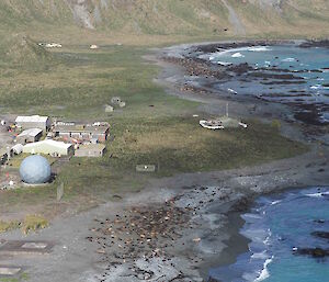 A long distance shot of seals on a grey beach near a research station