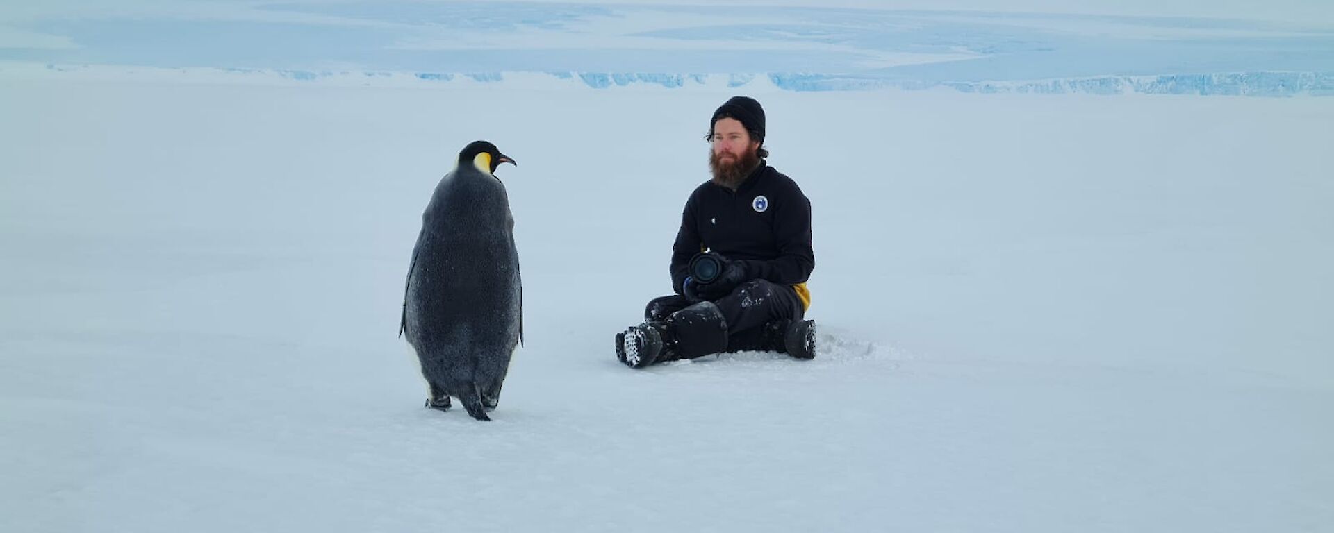 A man sitting down with an emperor penguin in front of him