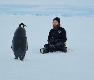 A man sitting down with an emperor penguin in front of him