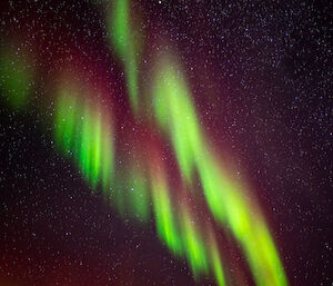 Colourful green and red lights in the night sky, emitted during an aurora at Casey station.