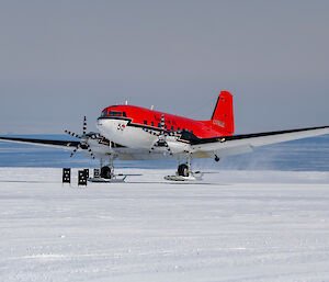 A twin propeller Basler plane with skis attached beneath its wheels landing on a between rows of runway markers on a snowy plain above the ocean. The upper part of the plane is painted bright vermilion