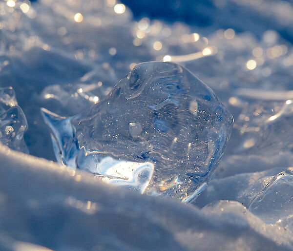 Chunk of clear ice shaped like the map of Antarctica