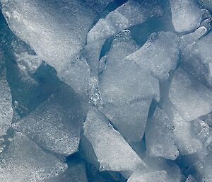 Chunks of ice on the ground that look like they all fit together