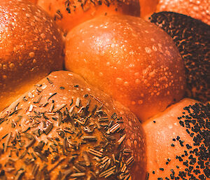 A close up of bread buns all stuck together with different herbs and seeds on top of each